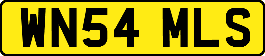WN54MLS