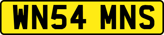 WN54MNS