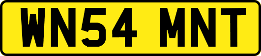 WN54MNT