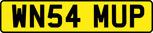 WN54MUP