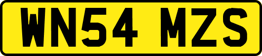 WN54MZS