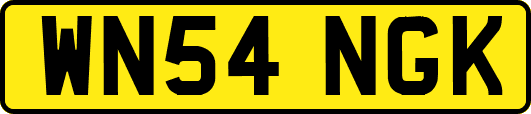 WN54NGK
