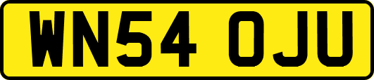 WN54OJU