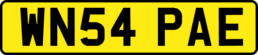 WN54PAE