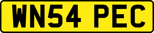 WN54PEC