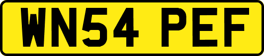 WN54PEF
