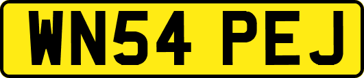 WN54PEJ