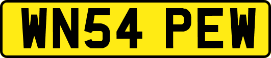 WN54PEW