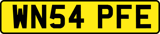WN54PFE