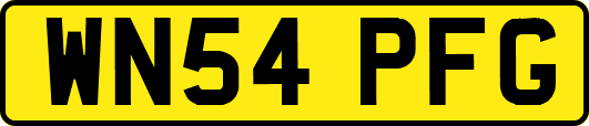 WN54PFG