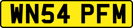 WN54PFM