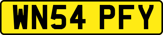 WN54PFY