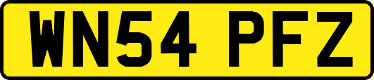 WN54PFZ
