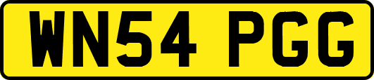 WN54PGG
