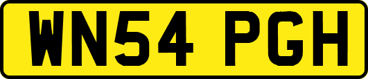 WN54PGH