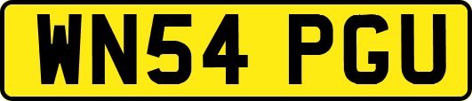 WN54PGU