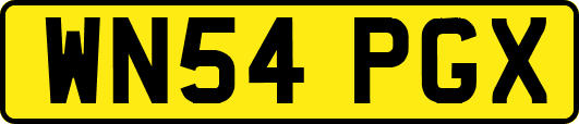 WN54PGX