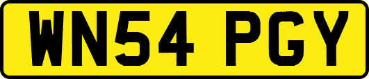 WN54PGY