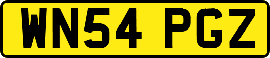 WN54PGZ