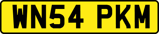 WN54PKM