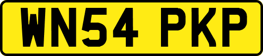 WN54PKP
