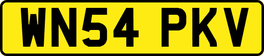 WN54PKV