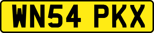 WN54PKX