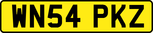 WN54PKZ
