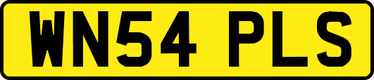 WN54PLS