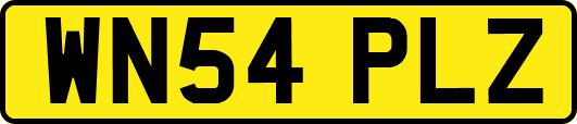 WN54PLZ