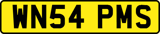 WN54PMS