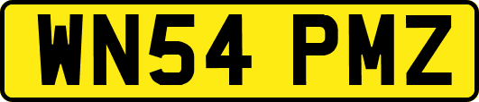 WN54PMZ