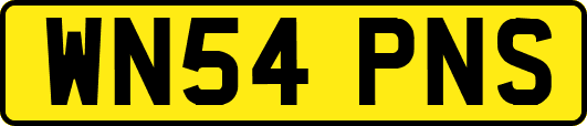 WN54PNS