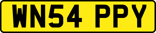WN54PPY
