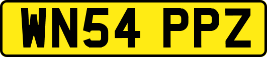 WN54PPZ
