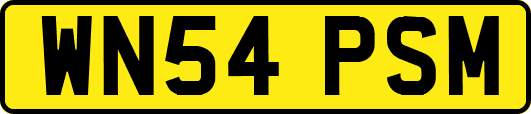 WN54PSM