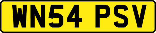 WN54PSV