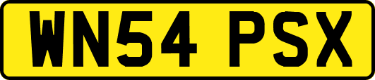 WN54PSX