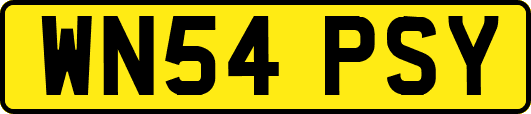 WN54PSY