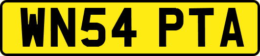 WN54PTA