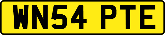 WN54PTE