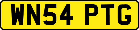 WN54PTG
