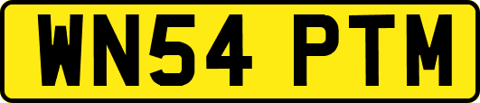 WN54PTM