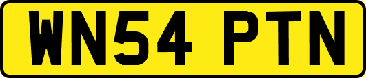 WN54PTN