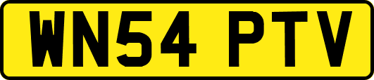 WN54PTV