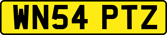 WN54PTZ