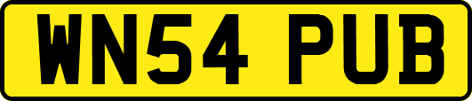 WN54PUB
