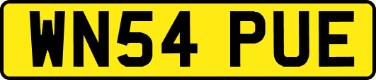 WN54PUE