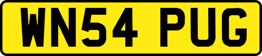 WN54PUG