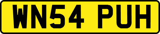 WN54PUH